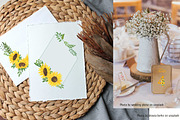 Sunflowers Watercolor Collection, an Illustration by Contes_de_fée (Thumbnail 8 of 21)