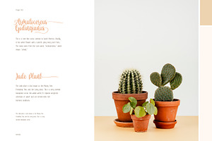 De Floras Family - 5 Fonts