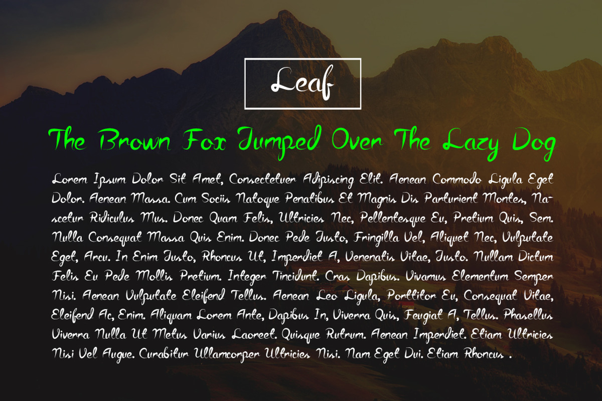 Torsion Font preview 8