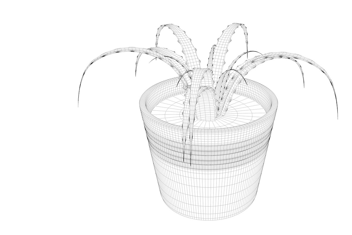 Plant n°1, an Object 3D Model by 3D Furnishing (Photo 18 of 20)
