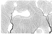 Growth - 50 Backgrounds, a Texture Graphic by GarryKillian (Thumbnail 48 of 51)