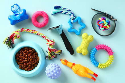Pet toys and food on blue background. Dog toys, grooming supplies, accessories.