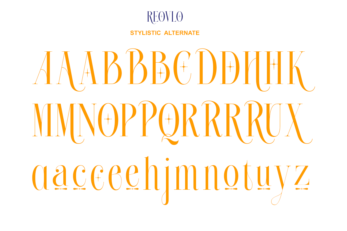 Roelvo - Clean Elegant Display Serif, a Serif Font by Qweera Studio (Photo 12 of 12)