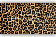 24 Animal Pattern Texture, a Background Graphic by NOMO DESIGN (Thumbnail 5 of 24)
