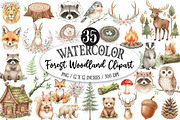 Watercolor Forest Woodland Clipart, an Illustration by Designking (Thumbnail 1 of 5)