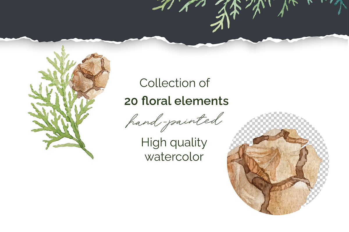Winter greenery floral clipart, a Decorative Illustration by My Wondercolor (Photo 2 of 6)