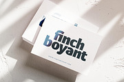 Caffie Lofie Retro Sans Serif, a Serif Font by timelesstype.co (Thumbnail 2 of 20)