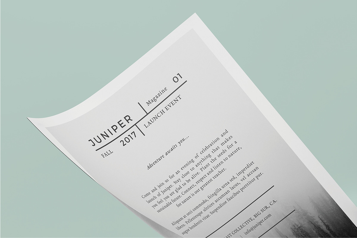 J U N I P E R  Flyer Template, a Flyer Template by 46&2 Collective (Photo 9 of 11)