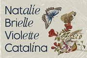 Officially Funky - Modern Font Duo, a Sans Serif Font by SilverStag Type Foundry (Thumbnail 4 of 17)