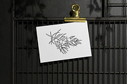 Black Herbs. Vector Set, an Object Graphic by PatrushevaYana (Thumbnail 3 of 6)