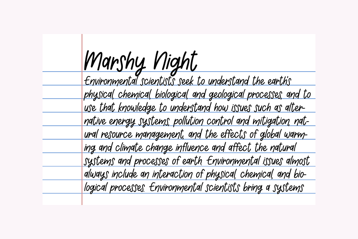 NOTEBOOK HANDWRITING Font Bundle, a Handwritten Font by Blush Font Co. (Photo 7 of 12)