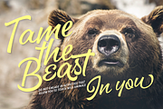 Dog Days Fonts & Extras 50% OFF!, a Script Font by Fenotype (Thumbnail 3 of 9)