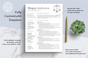 Legal Resume | Lawyer, Law Clerk CV, a Resume Template by The Art of Resume (Thumbnail 3 of 8)