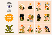 Moon Tiger Playful Graphics Bundle, an Illustration by Katerina Osa (Thumbnail 1 of 13)