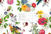 Paradise Florals Prints & Motifs, a Pattern Graphic by TSTUDIO (Thumbnail 2 of 13)