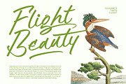 Hulatin Modern Brush Script, a Script Font by stylishtype.co (Thumbnail 14 of 20)