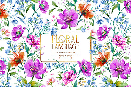 Floral Language, an Illustration by MSNTY STUDIOX