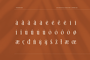 Widderstein, a Serif Font by ilhamtaro (Thumbnail 11 of 12)