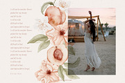 Floral Peaches watercolor flowers, an Illustration by Angele Kamp (Thumbnail 2 of 10)