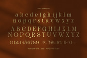 Bold Hiden Calligraphy Serif Font, a Serif Font by Perfectype (Thumbnail 7 of 7)