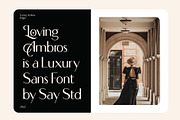 Loving Ambros, a Sans Serif Font by Say Studio (Thumbnail 2 of 15)
