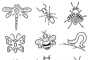 Set Of Different Insects