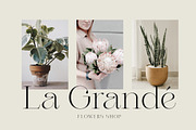 Valery Display Serif Font, a Serif Font by Letteralle Studios (Thumbnail 3 of 10)
