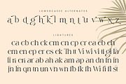 Wisteria, a Serif Font by ToniStudio (Thumbnail 11 of 12)
