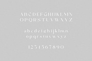 Sienne - Elegant Display Sans Serif, a Sans Serif Font by spectertype (Thumbnail 7 of 8)