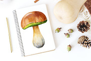Mushrooms Forest watercolor painting, an Object Illustration by Hanna Hryharenka (Thumbnail 2 of 11)