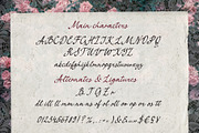 Vintage Retro script font Quill Pape, a Script Font by TD fonts (Thumbnail 8 of 11)