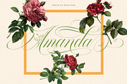 Mollani Nature Script, a Script Font by alit design (Thumbnail 6 of 20)