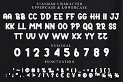 Stronger, a Script Font by FreshTypeINK (Thumbnail 7 of 8)