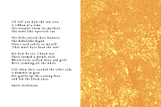 Caslon Antique vintage rugged font, a Serif Font by Jeffry Macpherson Visuals (Thumbnail 3 of 6)