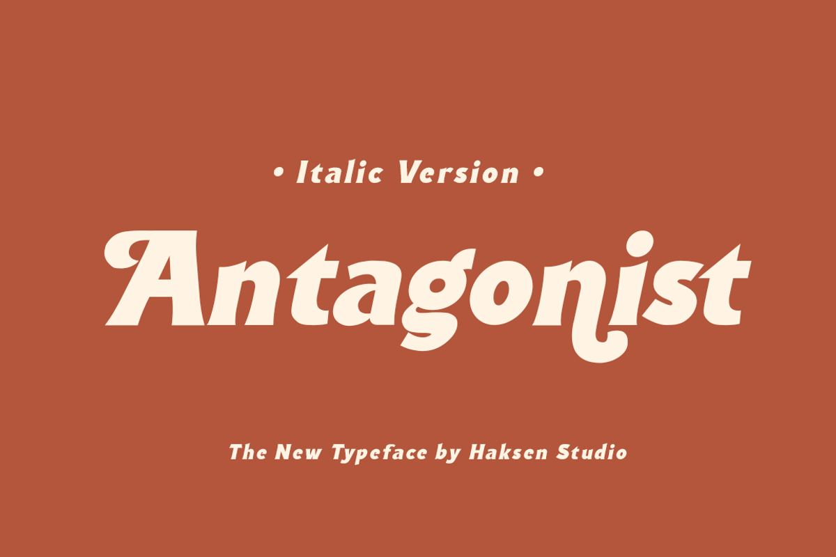 Antagonist Casual Bold Serif, a Serif Font by Haksen (Photo 12 of 15)
