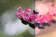 Dream World Lightroom Presets preview 4