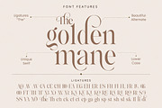The Rokvella, a Serif Font by Slex Studio (Thumbnail 14 of 15)