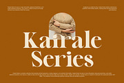 Melfin Modern Serif Font, a Serif Font by Perfectype (Thumbnail 3 of 8)