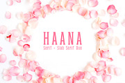 Haana Slab Serif Duo Font, a Slab Serif Font by Creativetacos (Thumbnail 1 of 6)