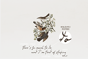 Typewriter and Script font pack, a Font by Ana's Fonts (Thumbnail 19 of 19)