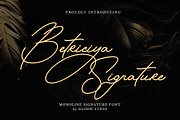 Betriciya Signature, a Script Font by GloowStudio (Thumbnail 1 of 11)