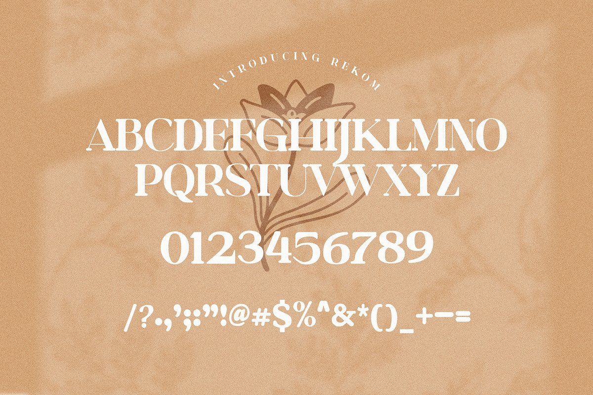 Rekom  Elegant Serif Font Typeface, a Serif Font by Perfectype (Photo 10 of 10)