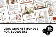 Bloggers Lead Magnet Template, an Email Template by ProductiveandFree (Thumbnail 1 of 7)