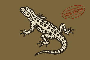 Vintage Desert Lizard Illustration
