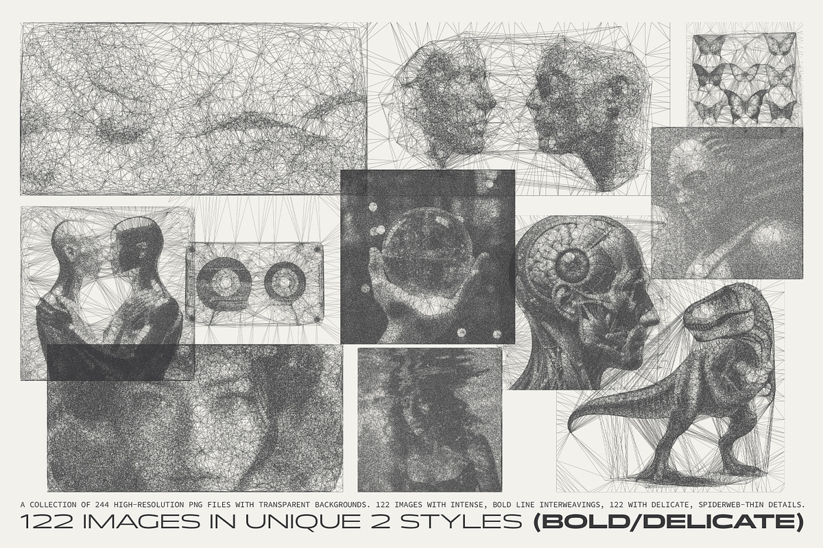 Interlace. 244 Spiderweb Graphics, a Graphic by softulka (Photo 3 of 6)