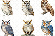 Vintage Owl Clipart, an Illustration by Black Bird Studio (Thumbnail 6 of 6)