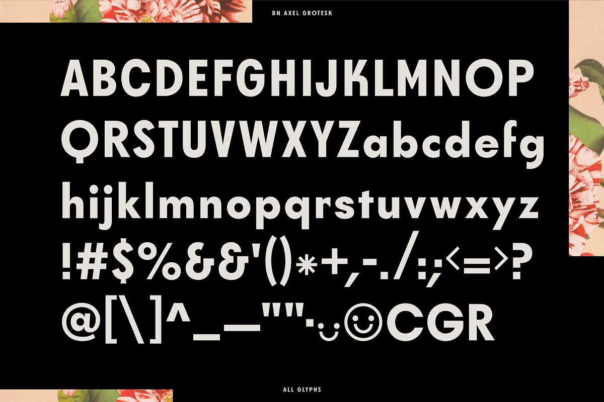 Axel Grotesk - A Sans Serif Typeface, a Sans Serif Font by Bnick (Photo 10 of 10)
