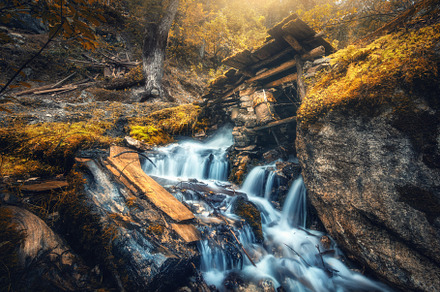 Stony well in colorful orange forest, a Nature Photo by den-belitsky