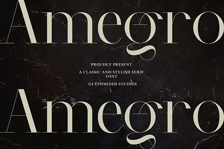 Amegro Font, a Serif Font by Glyphminds Studios