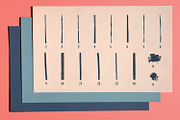 Rigby Brush Set, a Brush Add-On by Petra Santaharju (Thumbnail 2 of 9)